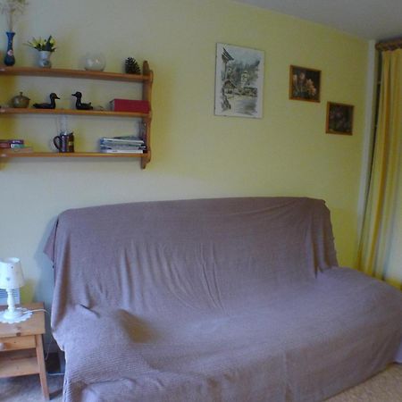 Studio Cosy Au Centre De Samoens Avec Parking Privatif - Fr-1-629-118 Exteriör bild